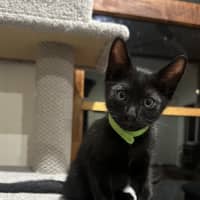 Photo of The Riddler