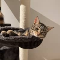 Photo of Bean