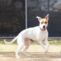 Photo of Marnie
