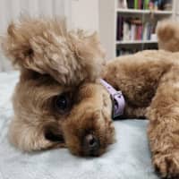 Photo of Mitzi