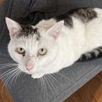 Photo of Squish