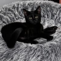 Photo of Hattie