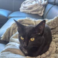 Photo of Luna U2026108