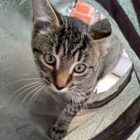 Photo of Max