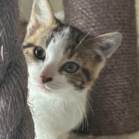 Photo of Little Leah