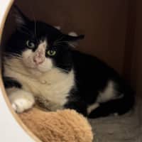 Photo of Bruce Wayne