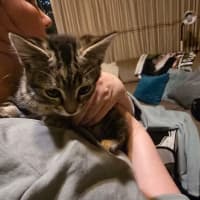 Photo of Agnes Addams