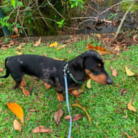 Photo of Hugo