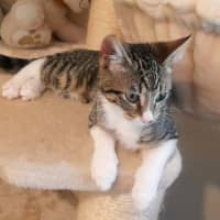 Photo of Penelope