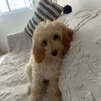 Photo of Mash