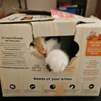 Photo of Mitzi