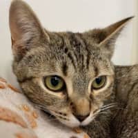 Photo of Sienna