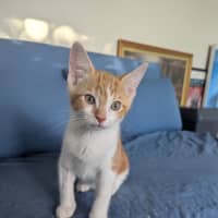 Photo of Stanley Golden