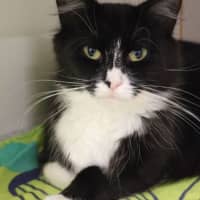 Photo of Wendy
