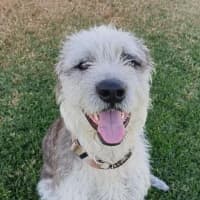 Photo of Winston 