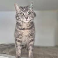 Photo of Maggie