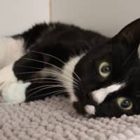 Photo of Marceline