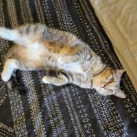 Photo of Miah