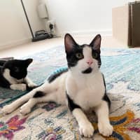 Photo of Boots