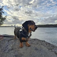 Photo of Baxter