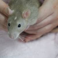 Photo of Joe