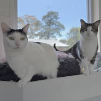 Photo of Molly And Mandy