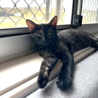 Photo of Ravern