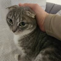 Photo of Dakota