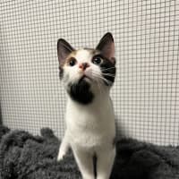 Photo of Callie Bean