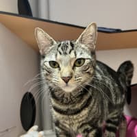 Photo of Coco