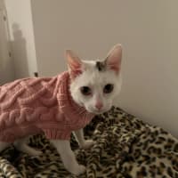 Photo of Mia