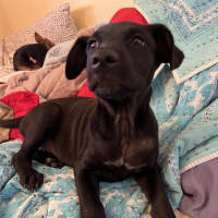 Photo of Skinny Marie (Evie)