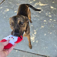 Photo of Toohey! 🍻