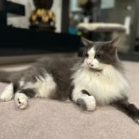 Photo of Barney And Wynstan