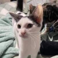 Photo of Bonny