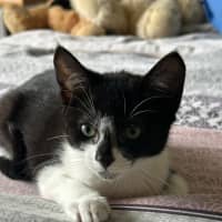 Photo of Ryder 😻🐾