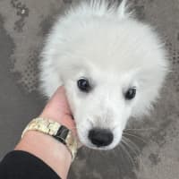 Photo of Cotton & Cloud