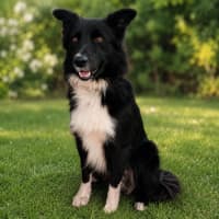 Photo of Zorro
