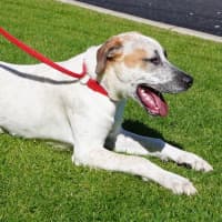 Photo of Ricky Bobby