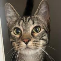 Photo of Spirit