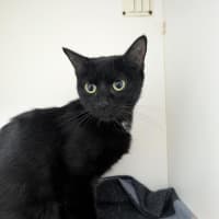 Photo of Spooki