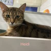 Photo of Heidi