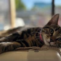 Photo of Lucy