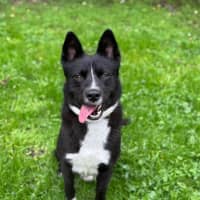 Photo of Shadow Moon 