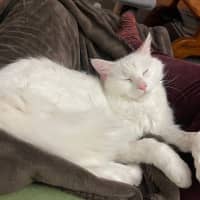 Photo of Elsa