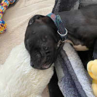 Photo of Penny Lane