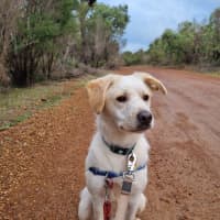 Photo of Atticus (Hiro)