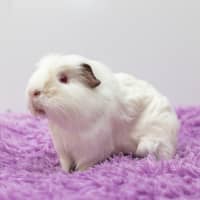 Photo of Thelma