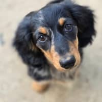 Photo of Bread Crumb