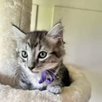 Photo of Lainey